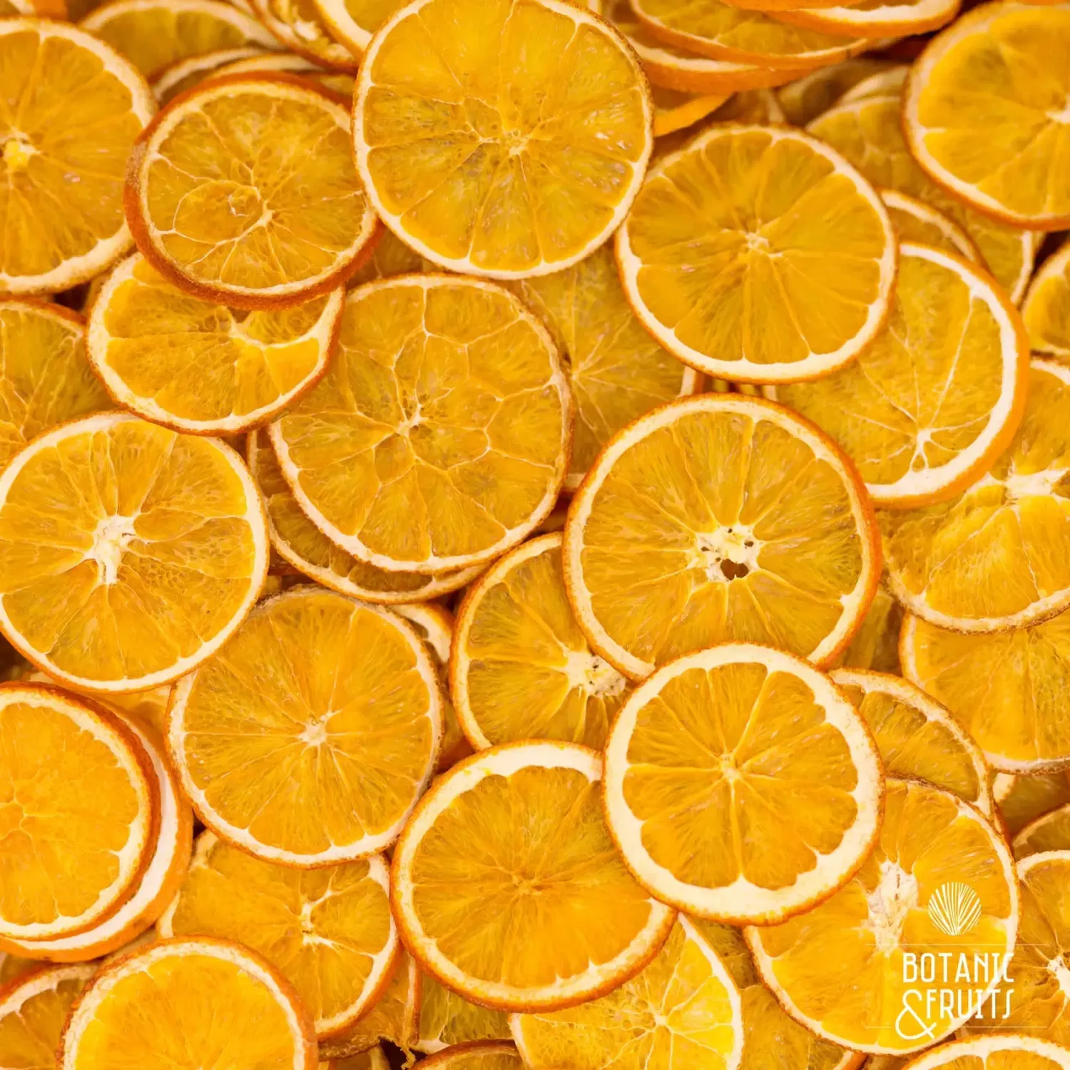 4 citrus pack - orange, blood orange, lime and lemon slices