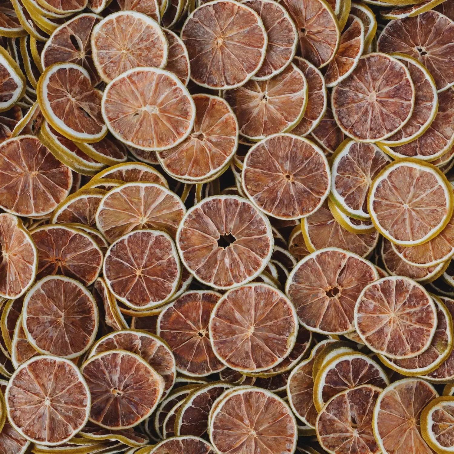 4 citrus pack - orange, blood orange, lime and lemon slices