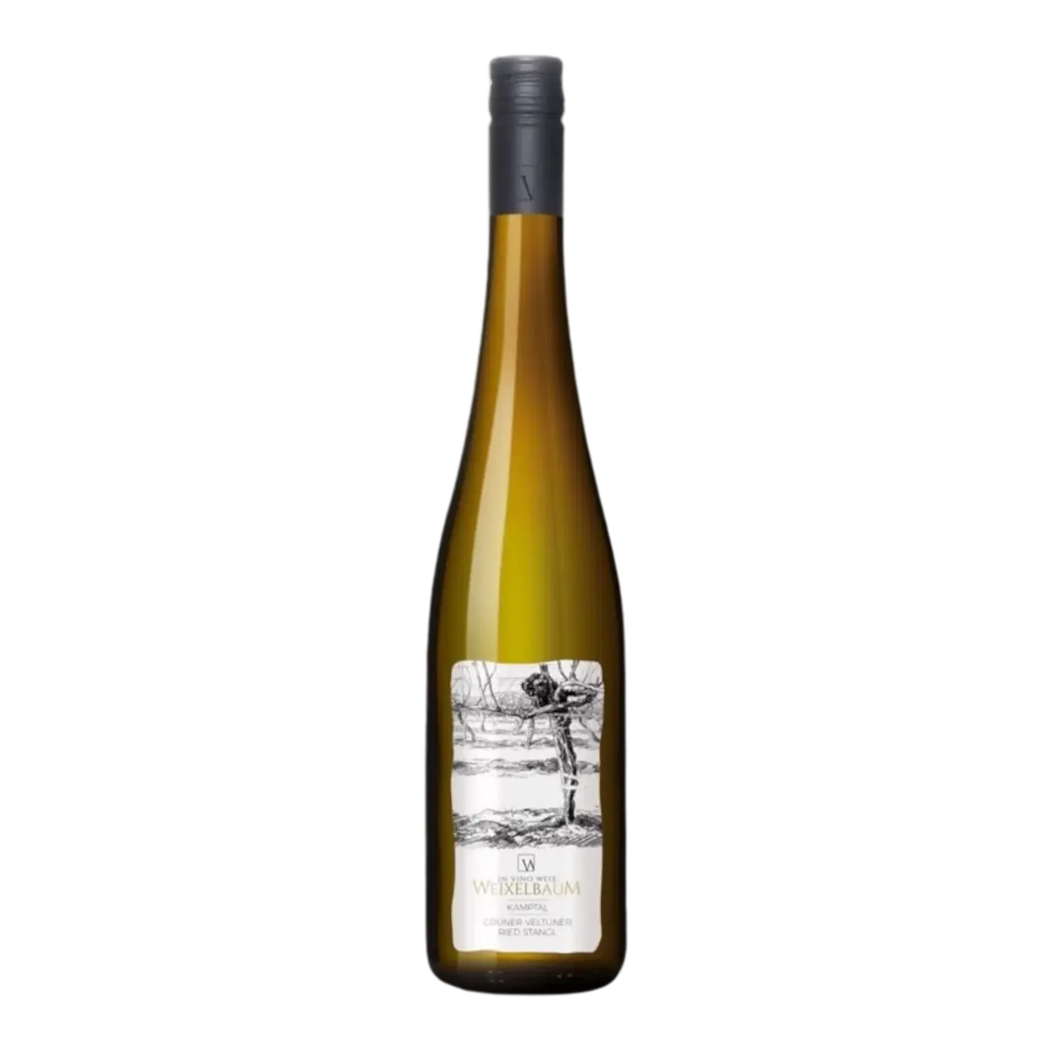 2024 Grüner Veltliner "Ried Stangl", Weingut Weixelbaum 0.75L