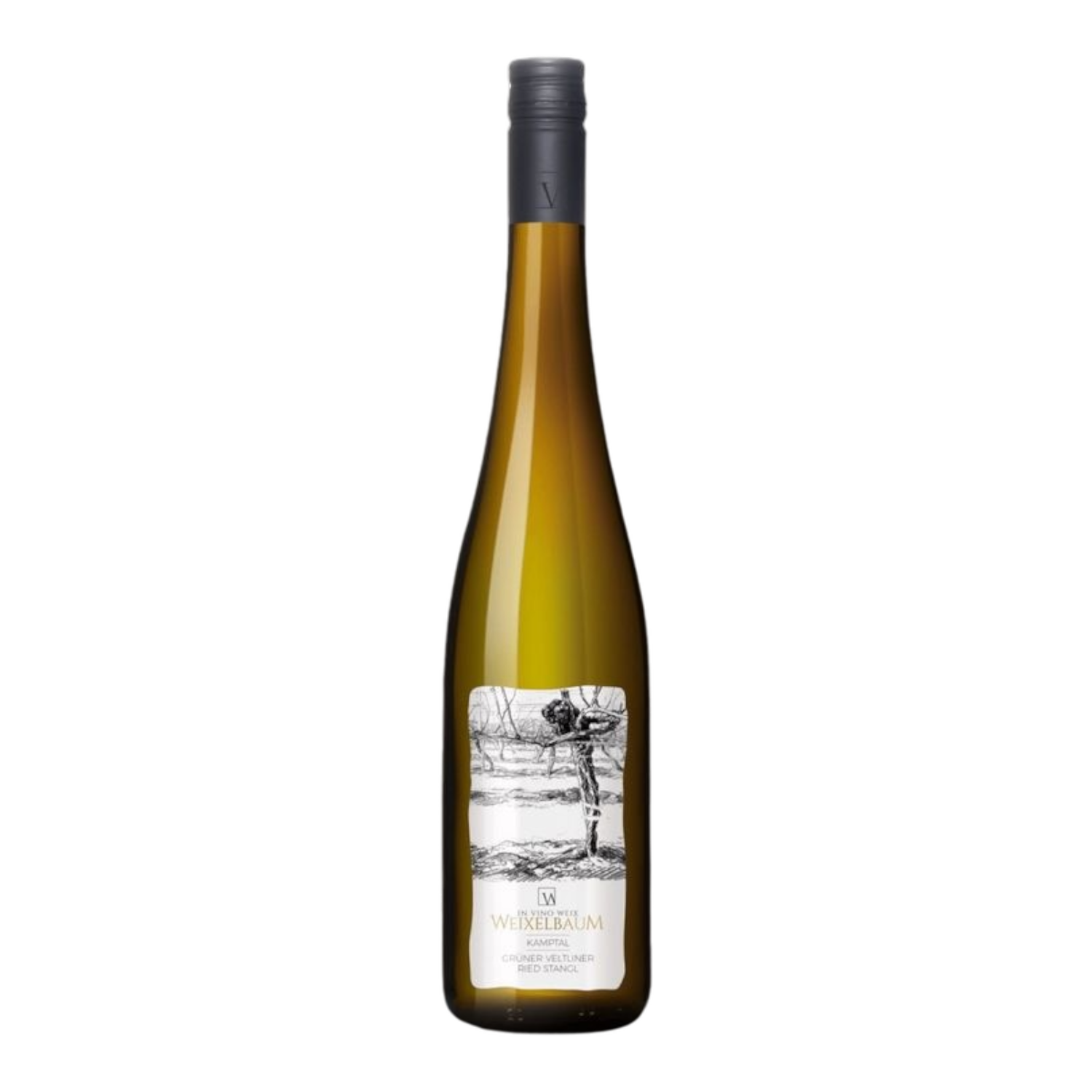 2024 Grüner Veltliner "Ried Stangl", Weingut Weixelbaum 0.75L