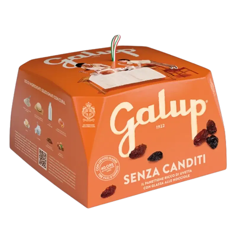 Panettone with Dried Raisins 750g