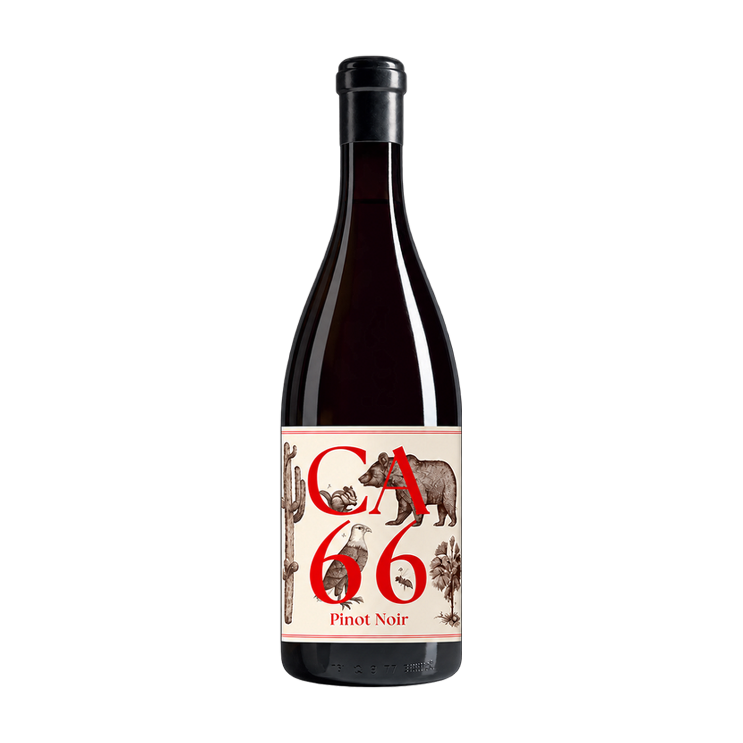 2023 Hannes Sabathi CA 66 Pinot Noir Oostenrijk 0,75L