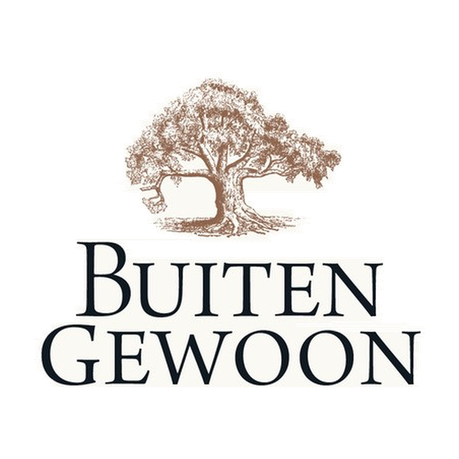 2025 Buitengewoon White Blossom Chenin Blanc BIB 10.00L