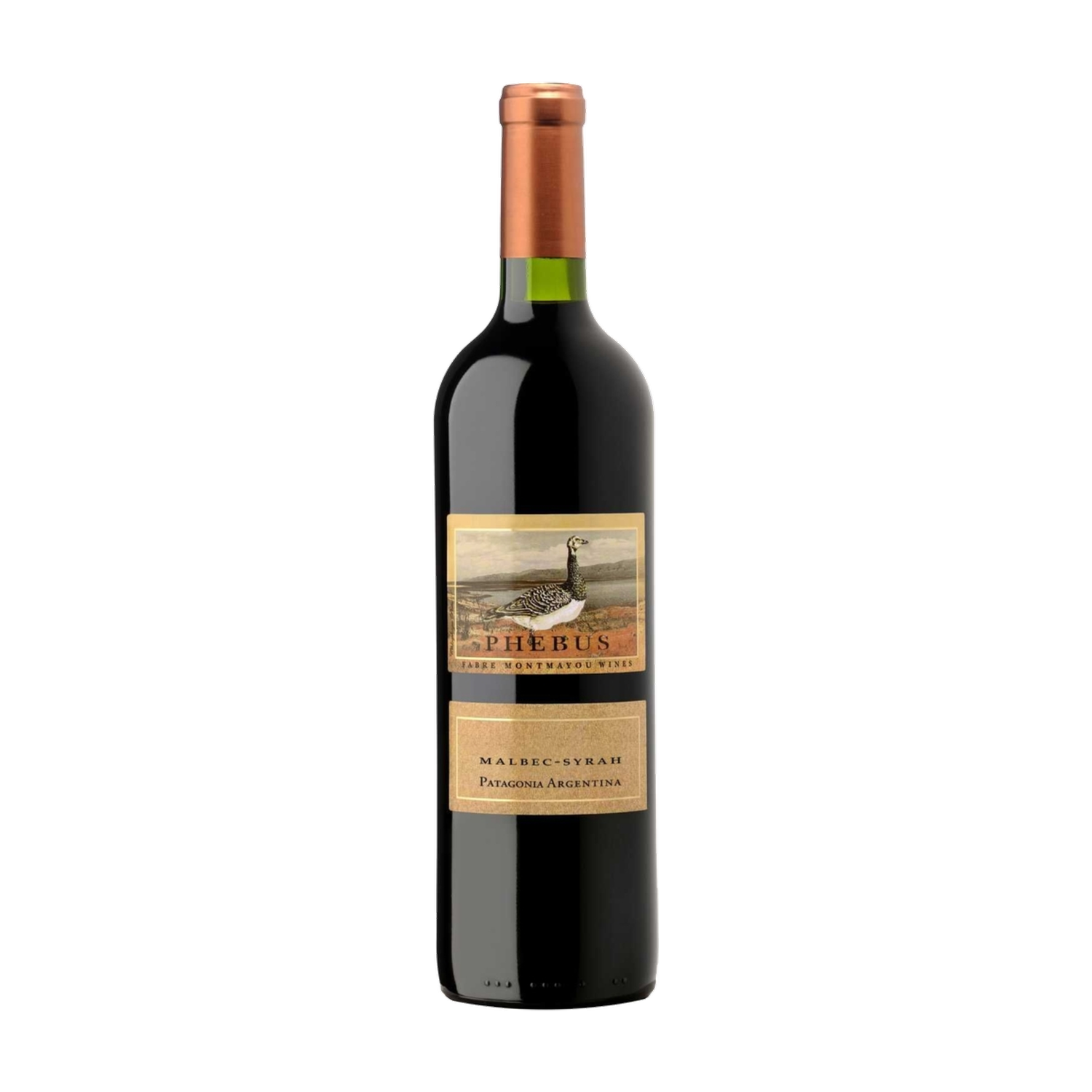 2022 Phebus Malbec Syrah - Patagonia 0.75L