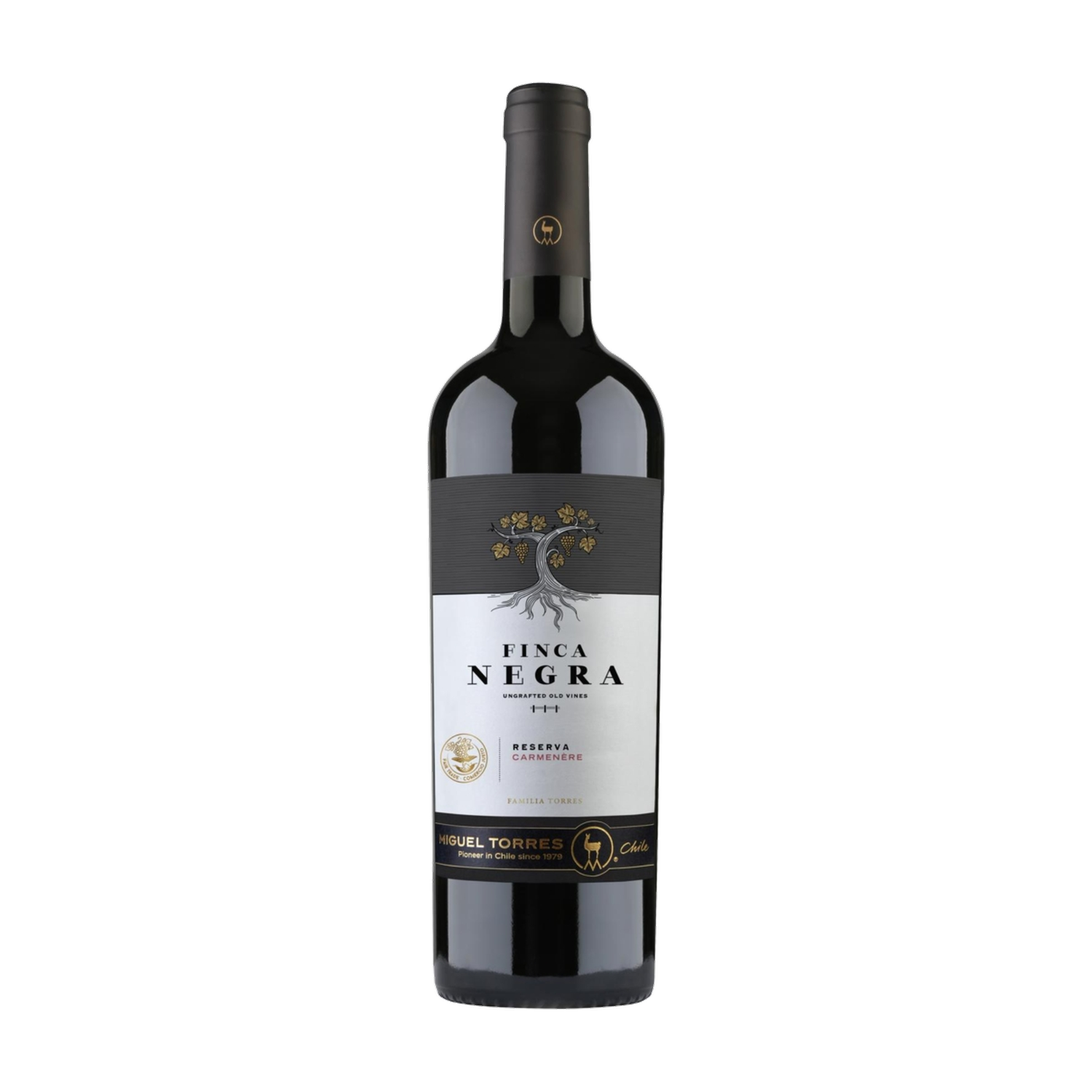 2022 Torres Finca Negra Carmenere Reserva 0.75L