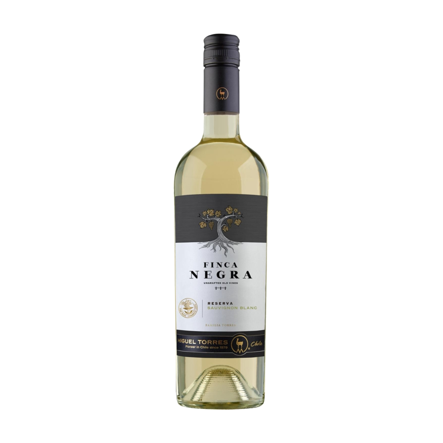 2024 Torres Finca Negra Sauvignon Blanc Reserva 0.75L