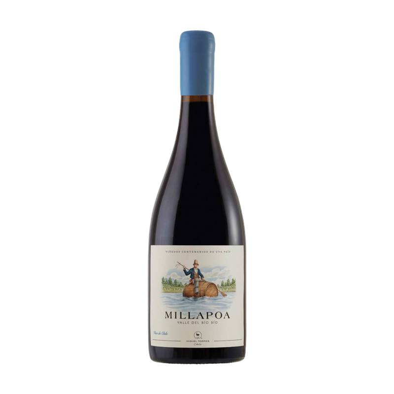 2022 Torres Millapoa país old vines 0.75L