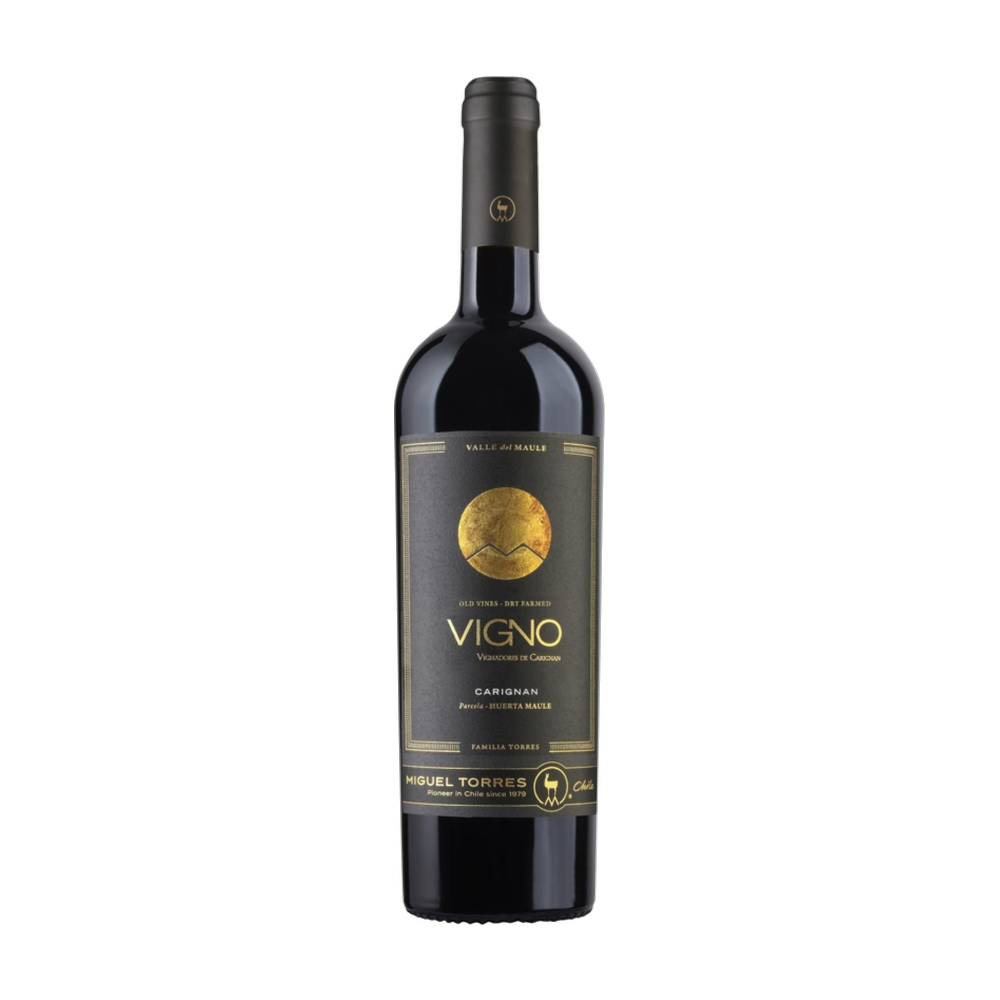 2018 Torres Vigno Carignan 0.75L