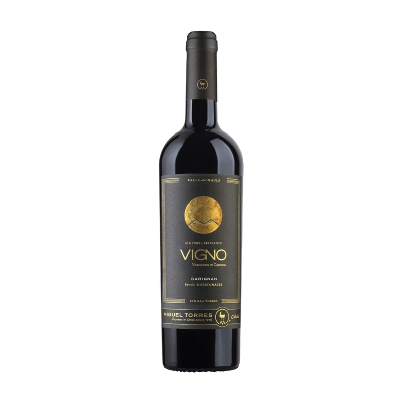 2018 Torres Vigno Carignan 0.75L