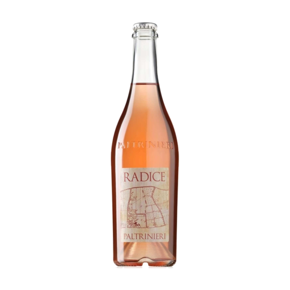 2020 Cantina Paltrinieri Radice Lambrusco 0.75L