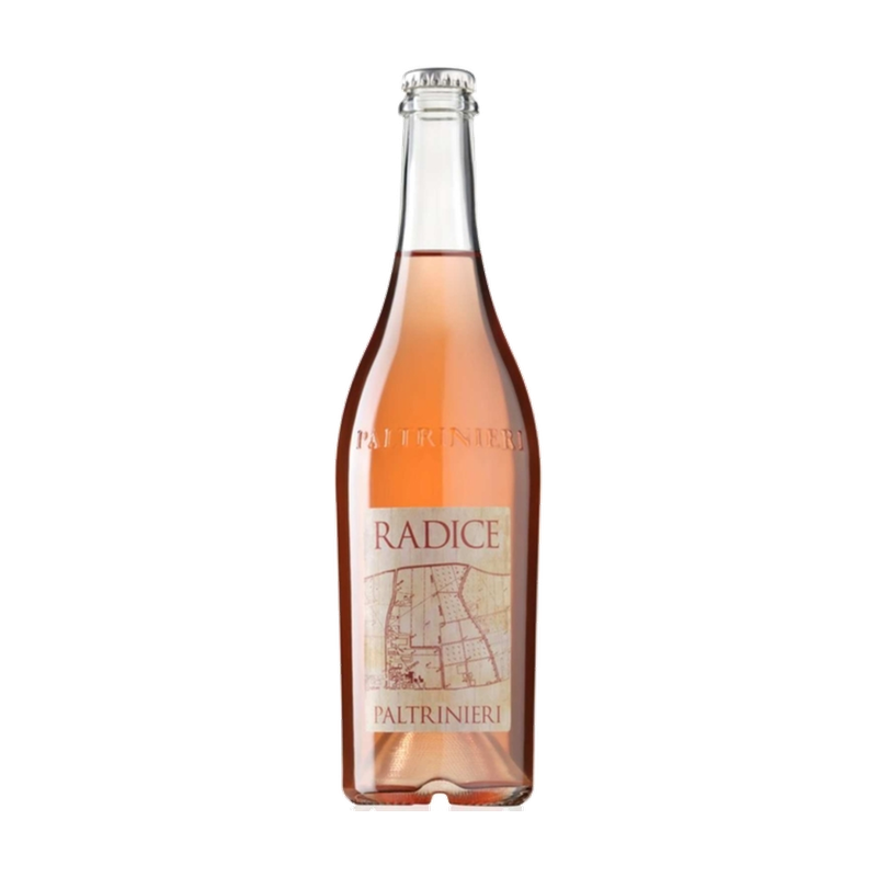 2020 Cantina Paltrinieri Radice Lambrusco 0.75L