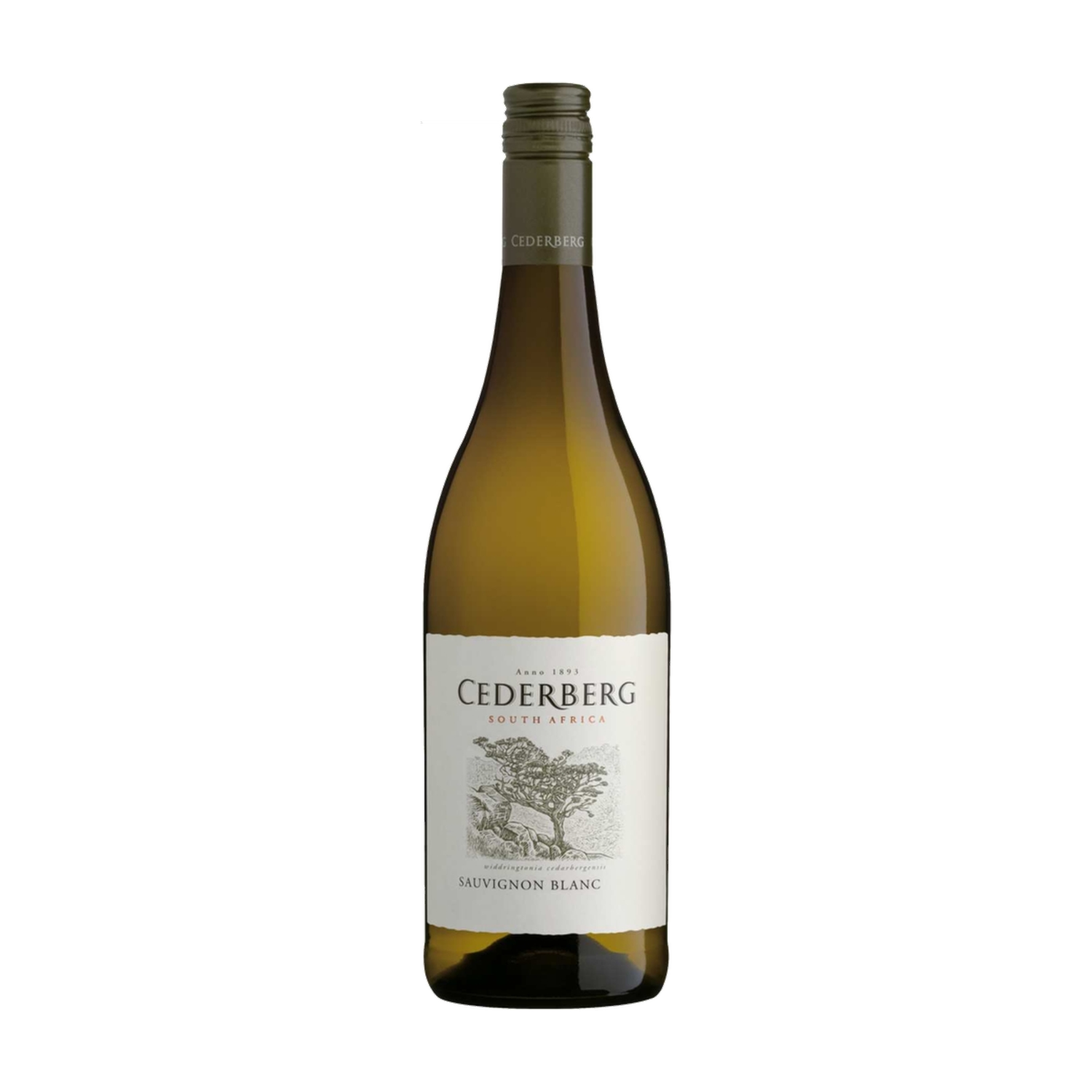 2024 Cederberg Sauvignon Blanc 0.75L