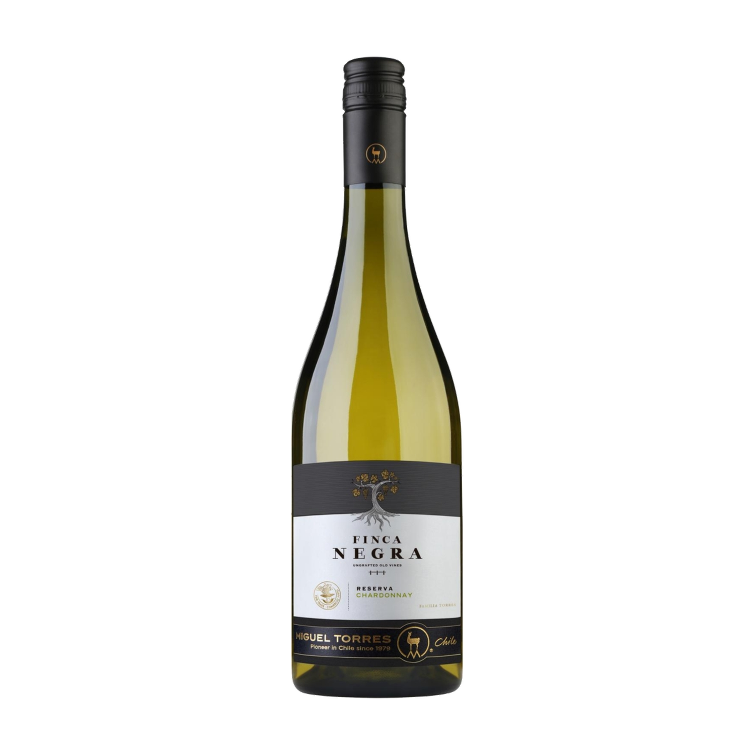 2024 Torres Finca Negra Chardonnay Reserva 0.75L