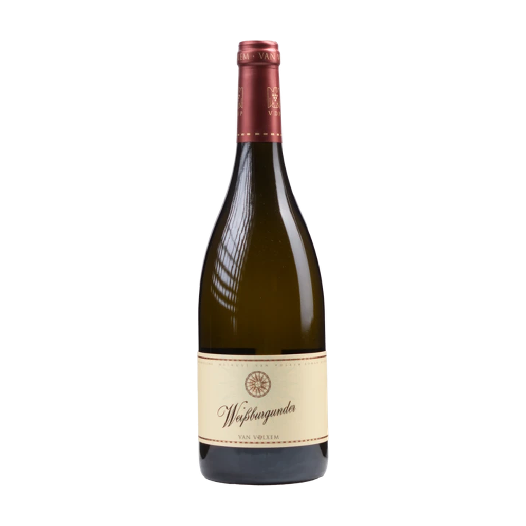 Van Volxem Weissburgunder 2024 — wit