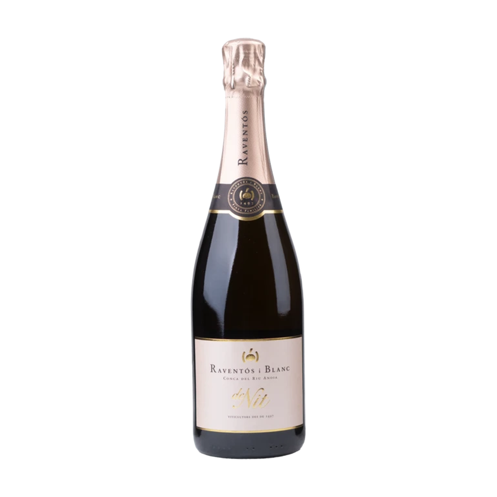 Raventos i Blanc De Nit Rose 2023 — rosé