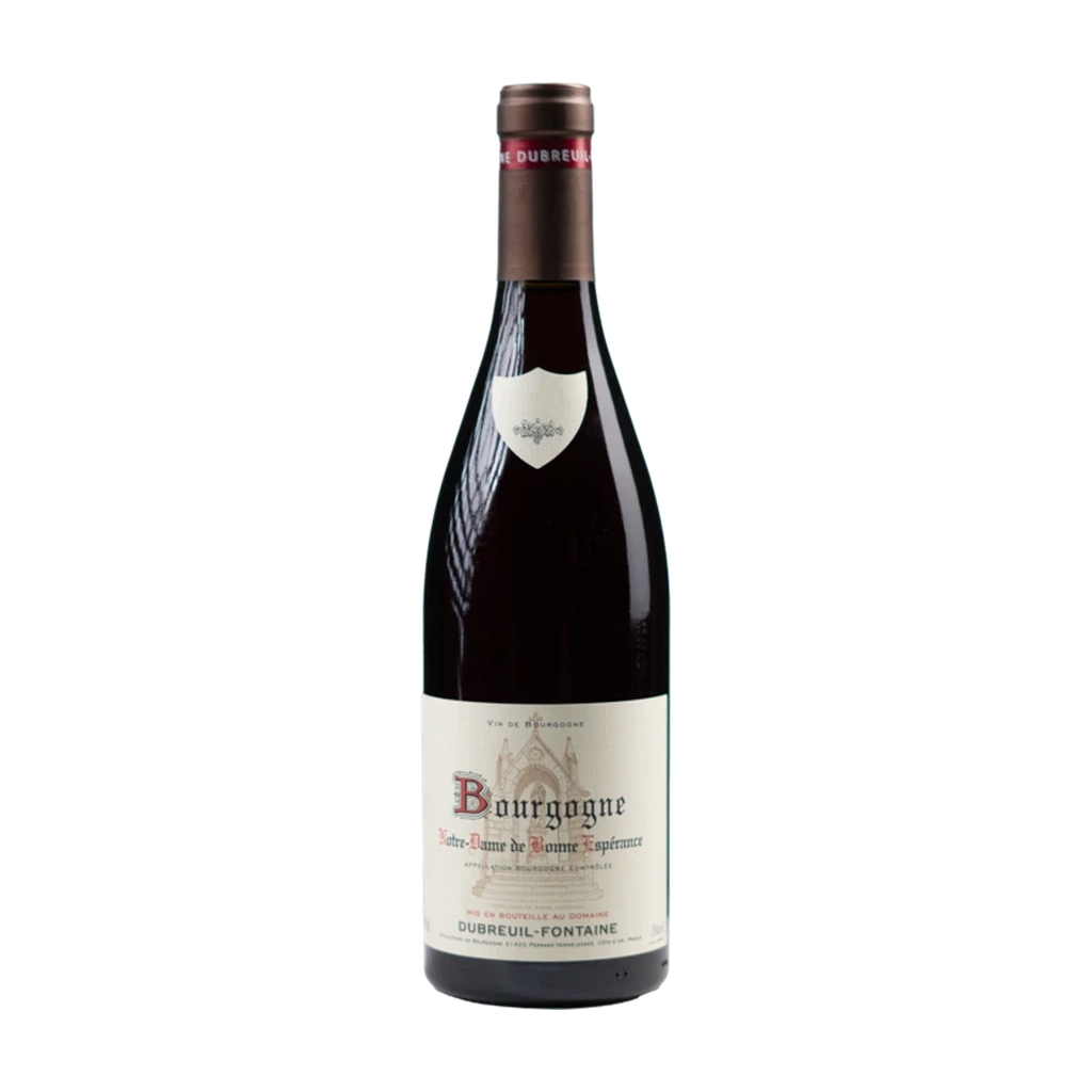 Domaine Dubreuil-Fontaine Bourgogne "Notre Dame de Bonne Esperance" 2023 — rood