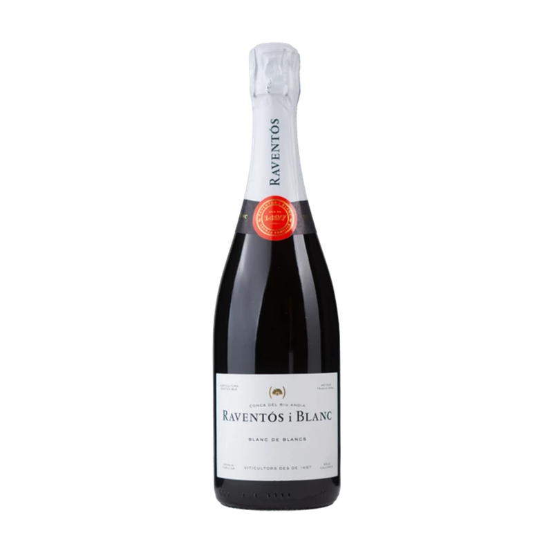 Raventos i Blanc Blanc de Blancs Brut 2024 — wit