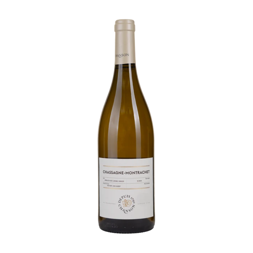 Maison Chanson Chassagne Montrachet 2024 — wit