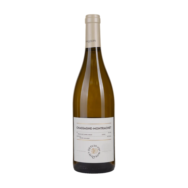 Maison Chanson Chassagne Montrachet 2024 — wit
