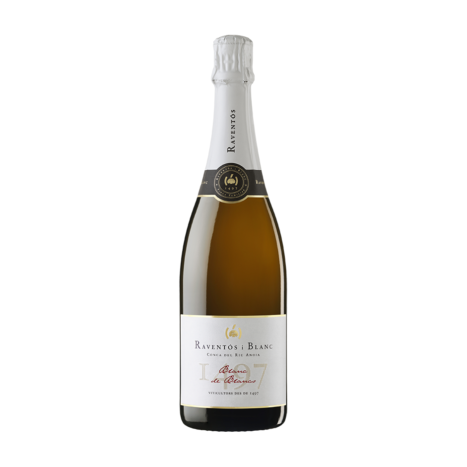 Raventos i Blanc Blanc de Blancs Brut 2023 — wit