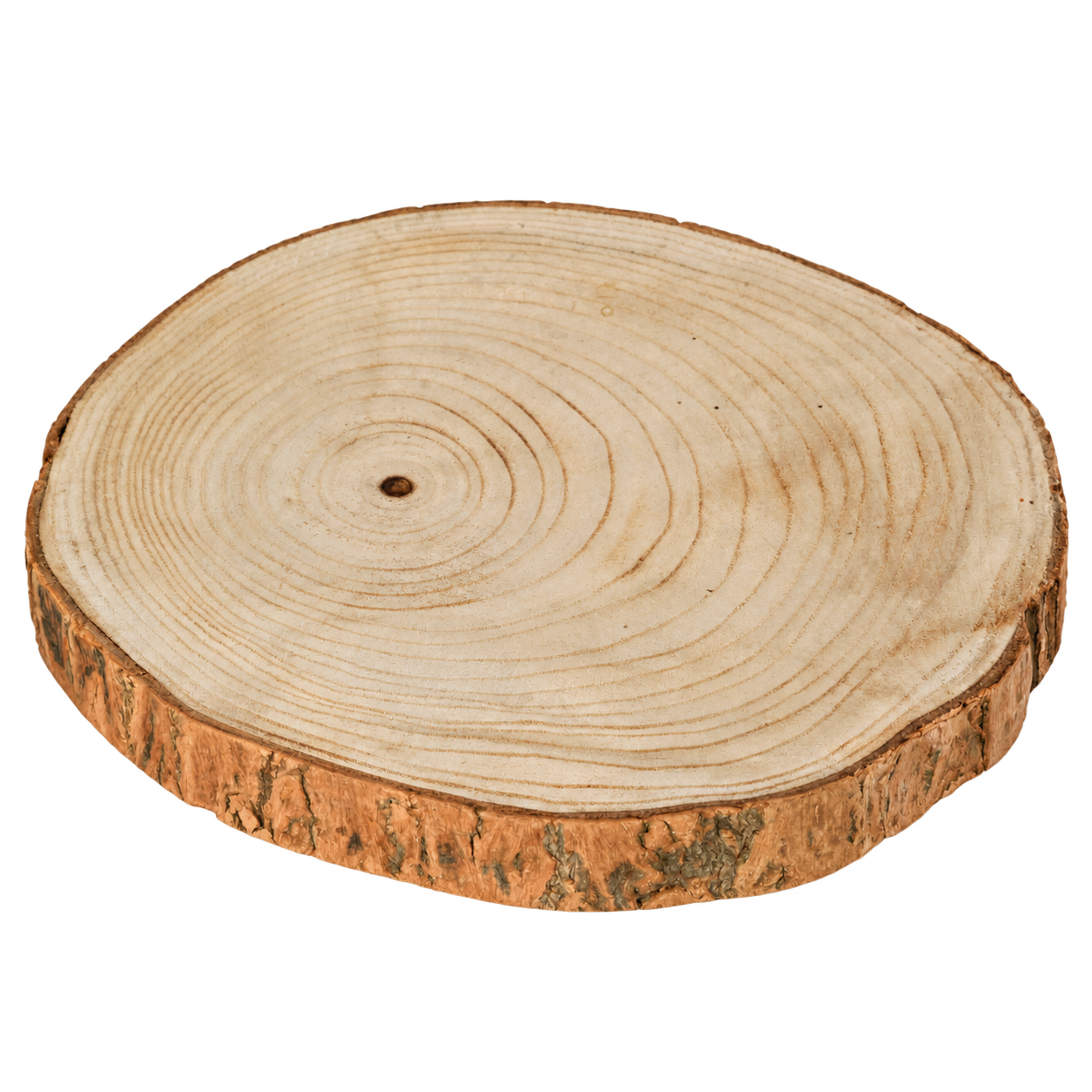 Paulownia wood slice 20 cm