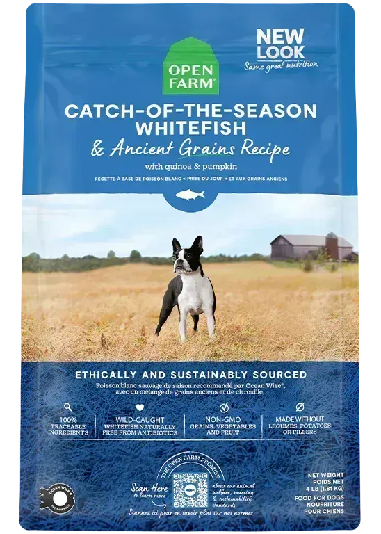 *OPEN FARM CATCH-OF-THE-SEASON WHITEFISH &amp; ANCIENT GRAINS DRY DOG FOOD 11LBS