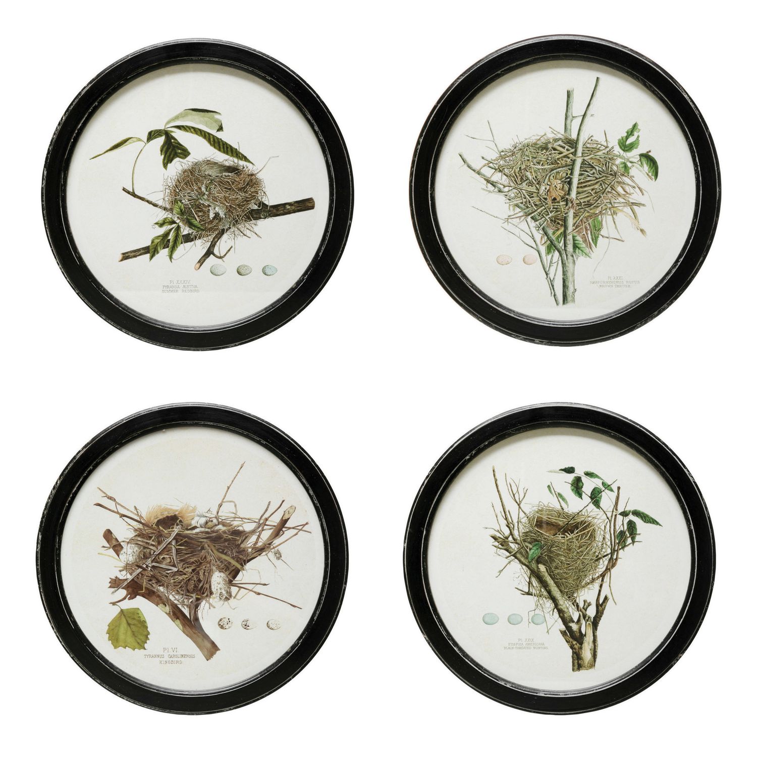 2025 DF4074A ROUND VINTAGE NEST PRINT