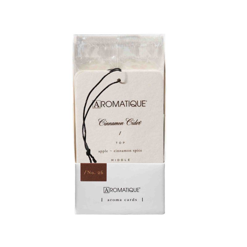 2025  53548  CINNAMON CIDER AUTO CARD