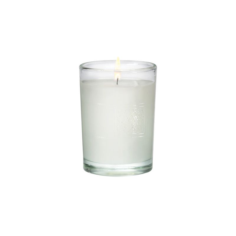 2025 34172 15 OZ JUNIPER BERRY CANDLE