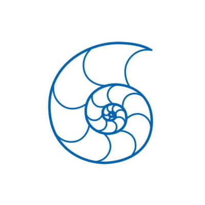 Nautilus Braids