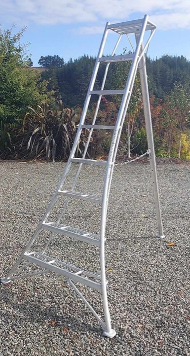 Hasegawa 2.7m Ladder