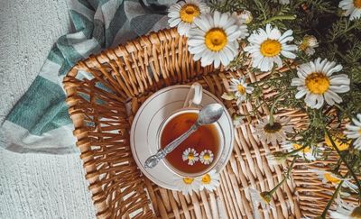 De kalmerende kracht van kamillethee