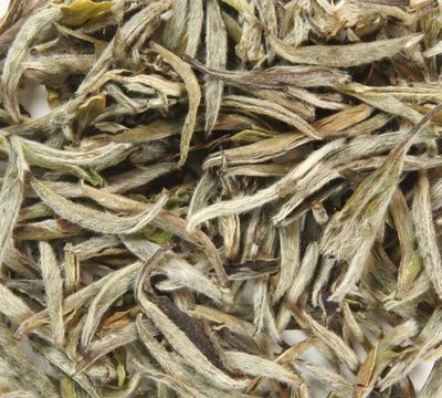 Silver Needle Yin Zhen Witte Thee