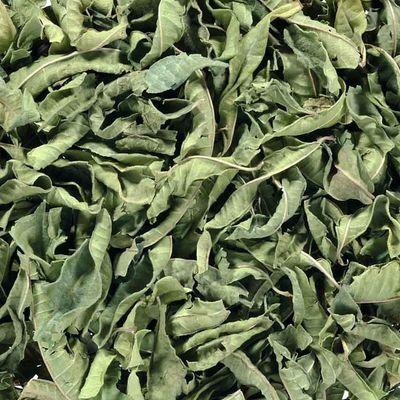 Verveine Heel Blad Biologisch