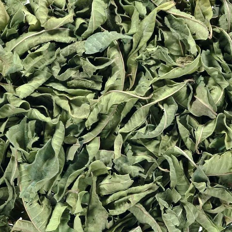 Verveine Heel Blad Biologisch