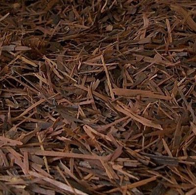 Pau d'arco of Lapacho