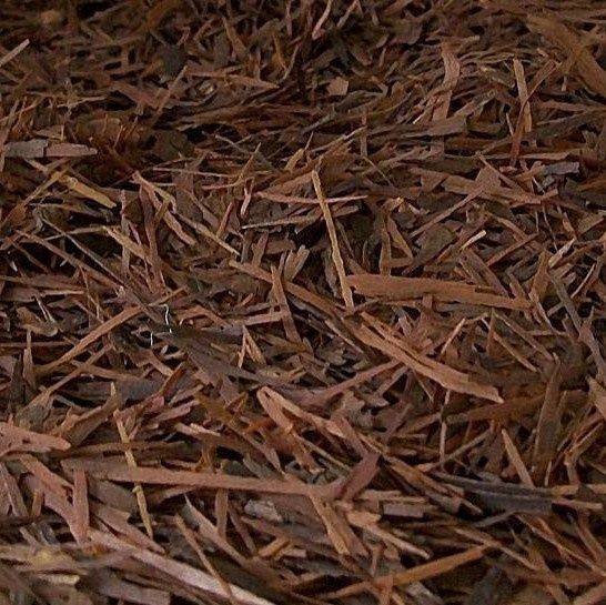 Pau d'arco of Lapacho