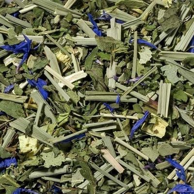 Feel Refreshed Wellness