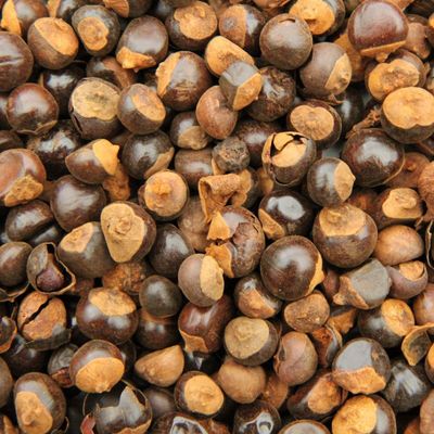 Guarana of Energiezaad