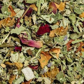 Feel Pretty Wellness