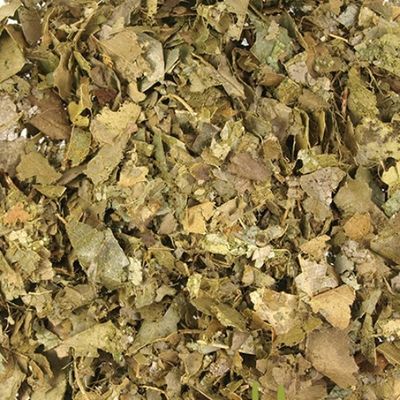 Zuurzakblad of Graviola