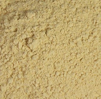 Engelwortel of Grote Engelwortel poeder