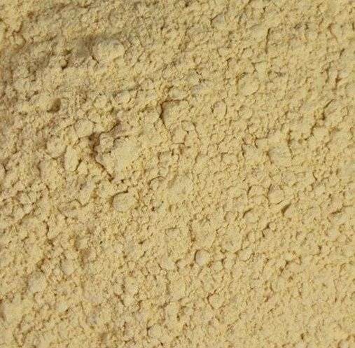 Engelwortel of Grote Engelwortel poeder