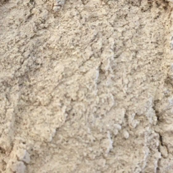 Echinacea Purpuraea wortel gemalen