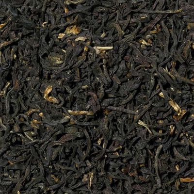 1 Assam Dirial TFGOP