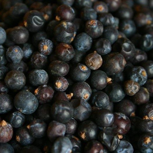 Jeneverbessen heel