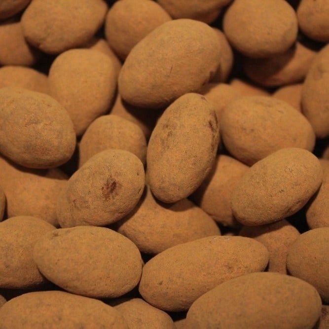 Kaneel Amandelen, Maat: Standaard