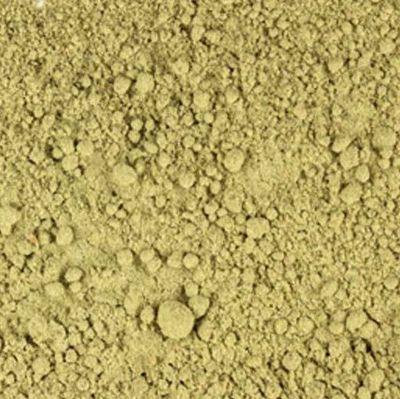 Berendruifblad poeder