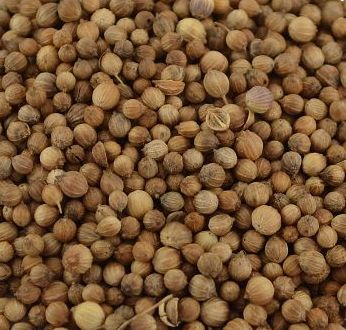 Korianderzaad of Ketoembar heel