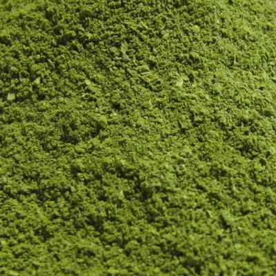 Moringa Oleifera poeder